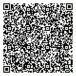 vCard 79371000173