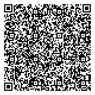 vCard 79371000315