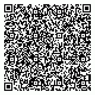 vCard 79371000381