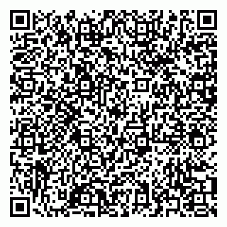 vCard 79371000411