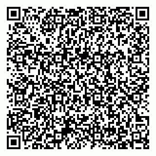 vCard 79371000500
