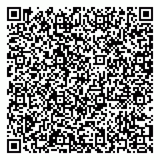 vCard 79371000513