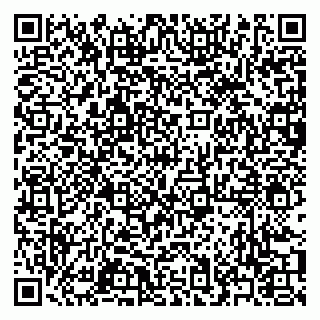 vCard 79371000533