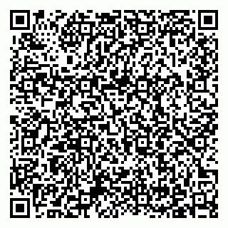 vCard 79371000537