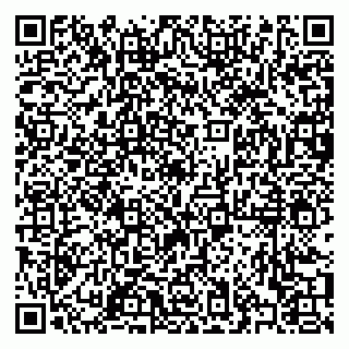 vCard 79372000333