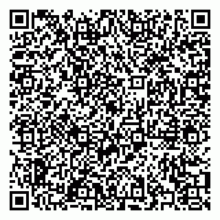 vCard 79372000381