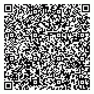vCard 79374000173