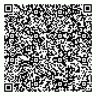 vCard 79378000173