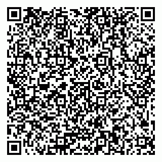 vCard 79379000215