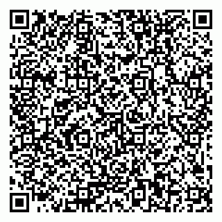 vCard 79379000399