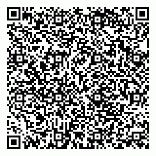 vCard 79380000131