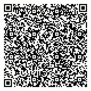 vCard 79380000215