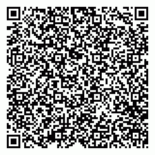 vCard 79380000294
