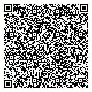 vCard 79380000321