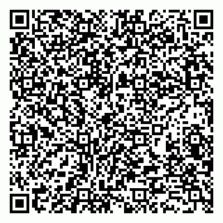 vCard 79380000331
