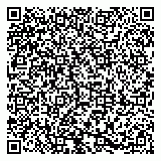 vCard 79381000001