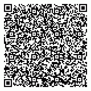 vCard 79381000039