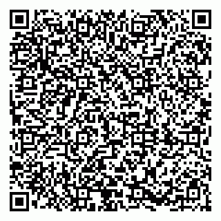 vCard 79381000139