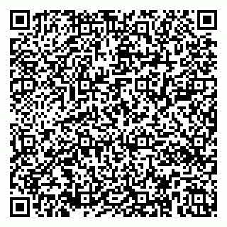 vCard 79381000215