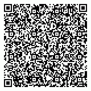 vCard 79381000279
