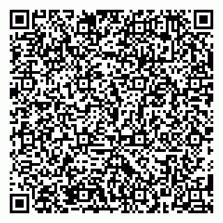 vCard 79381000380