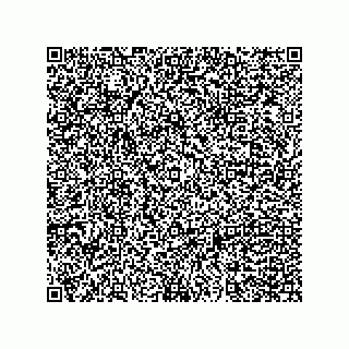 vCard 79381363050