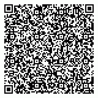 vCard 79381399677