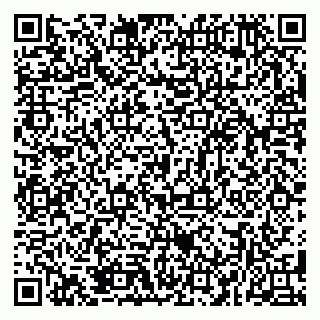 vCard 79381399750