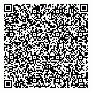 vCard 79381399776