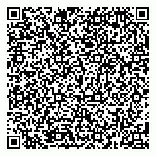 vCard 79381399798