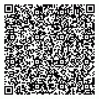 vCard 79381399803