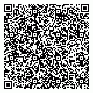 vCard 79381399838
