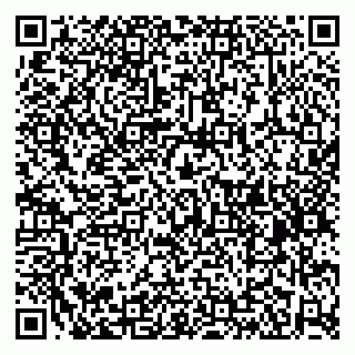 vCard 79381399839
