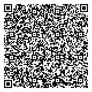 vCard 79381399856