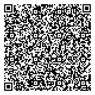 vCard 79381399894