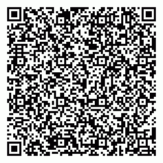vCard 79381399907