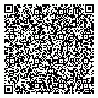 vCard 79381399967