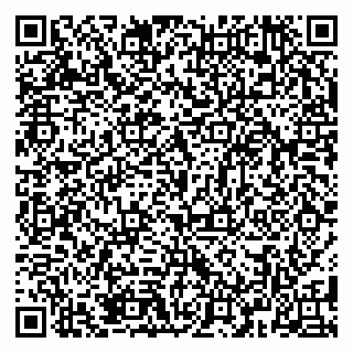 vCard 79381399981