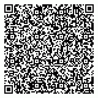 vCard 79381399983