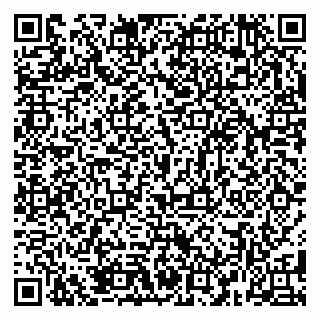 vCard 79381399991