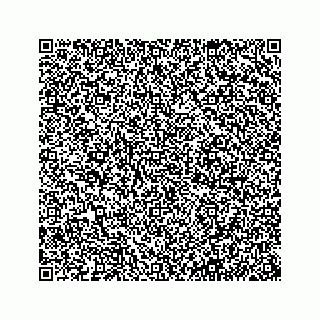 vCard 79381500003