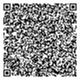 vCard 79384000173