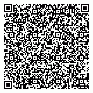 vCard 79384000739