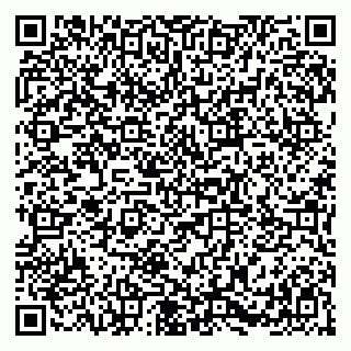 vCard 79384001306