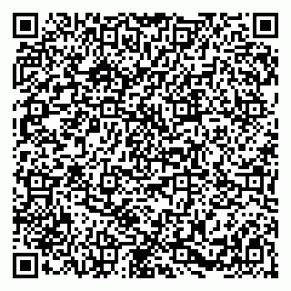 vCard 79384002913