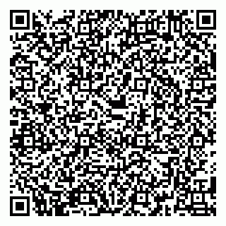 vCard 79384275781
