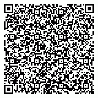 vCard 79384730139