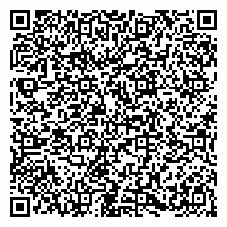 vCard 79384730199