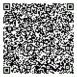 vCard 79384730337
