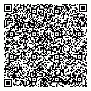 vCard 79385000539